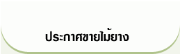 ��С�Ȣ������ҧ